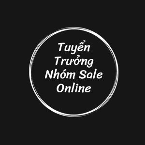 Trưởng Nhóm Sale Online