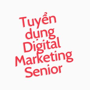 Digital Marketing Senior