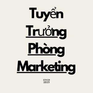 Trưởng Phòng Marketing