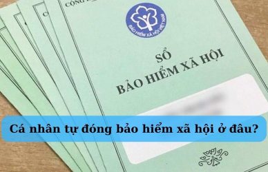 cá nhân tự đóng bảo hiểm xã hội ở đâu